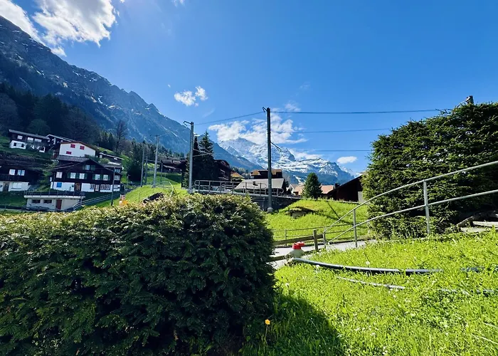 Stella Alpina 1 Daire *